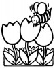 Une abeille butine une tulipe