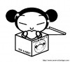 image pucca