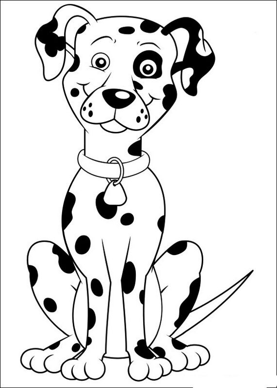 Notre ami le chien dalmatien