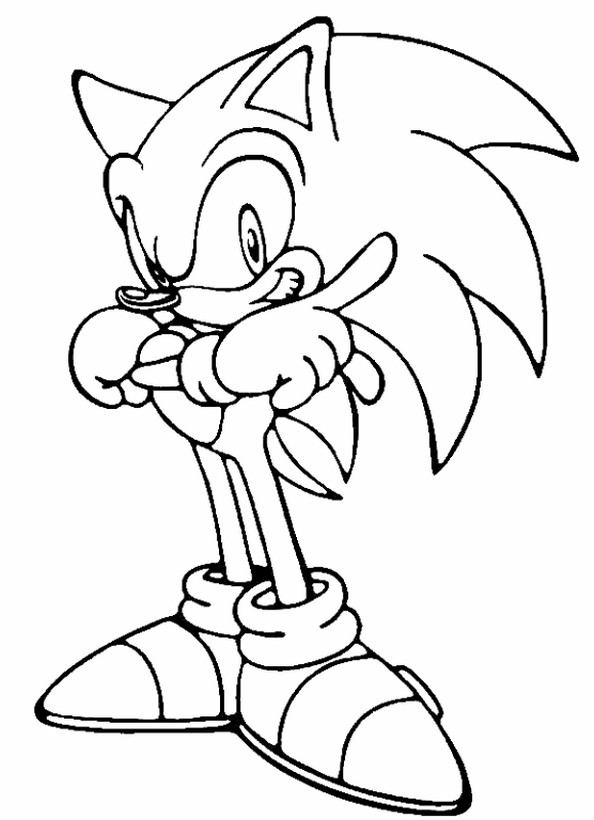 Un herisson qui se nomme sonic