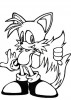 Le petit renard ami de sonic