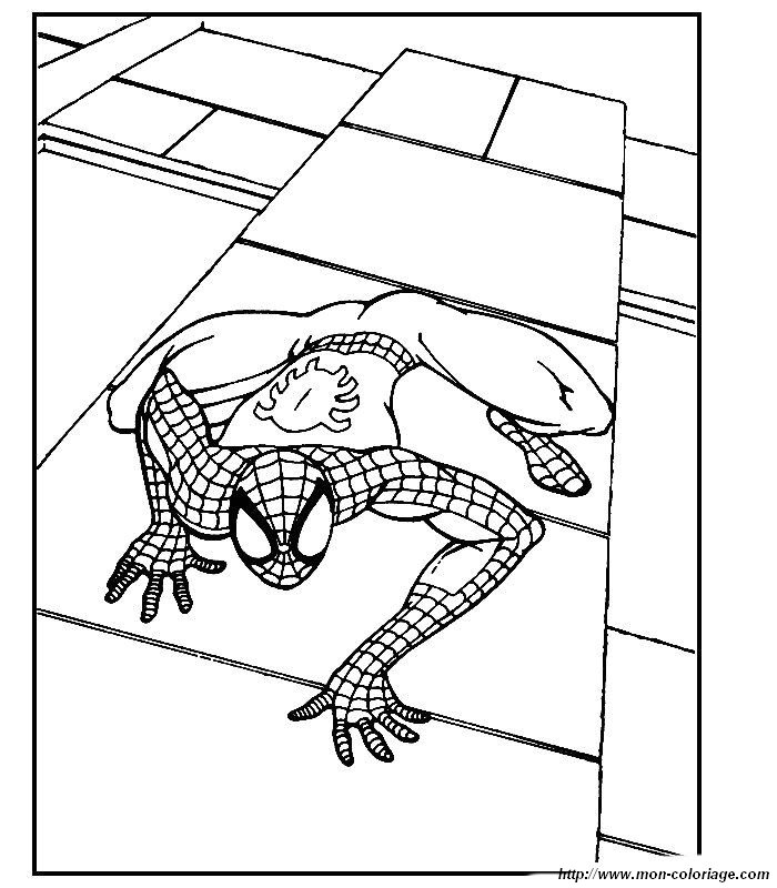 Il sait grimper sur les murs