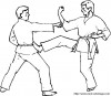 boxe judo karate 1