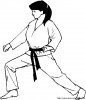 boxe judo karate 2