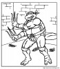 Tortue ninja