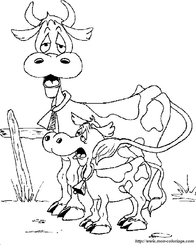 vache10