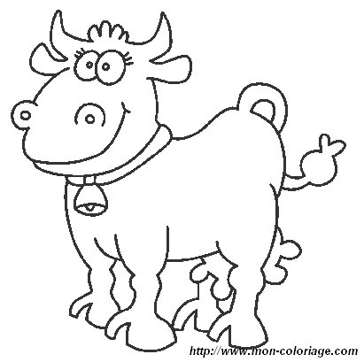 vache3