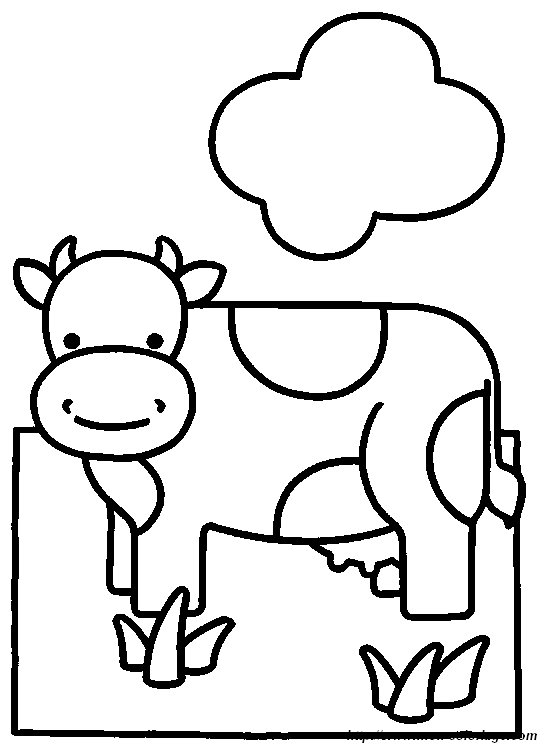 vache6