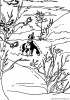coloriages yakari  